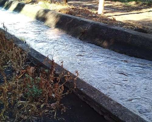 Vendo Finca con Nogales de 13 Años