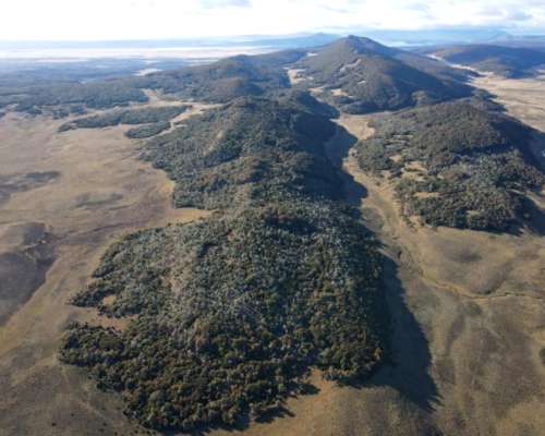 Estancia 10.000 Ha - Tierra del Fuego