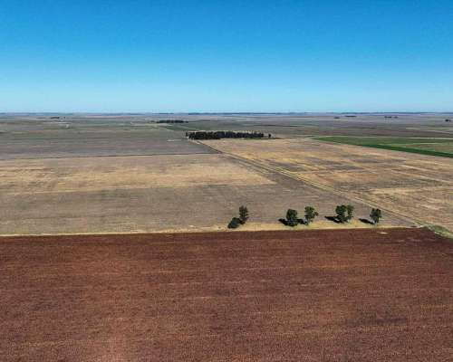 Pcia. de Santa FE - Aaron Castellanos 1125 Has