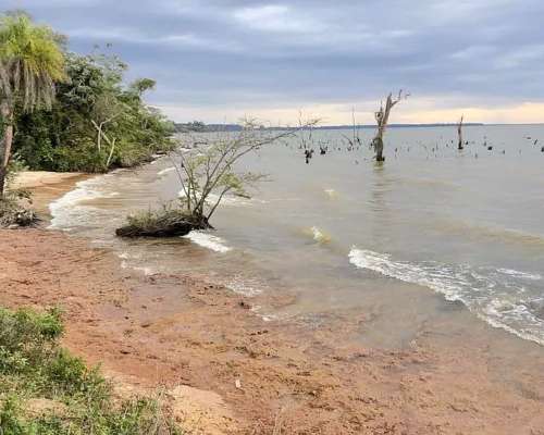 Chacra de 3.7 Ha Sobre Rio Paraná y Sobre Ruta. sin Mejoras.