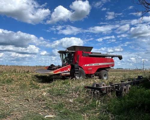 Cosechadora Axial. Massey Fergunson 9695 año 2019.