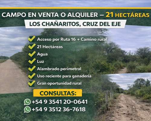 Campo en Alquiler – los Chañaritos, Cruz del Eje