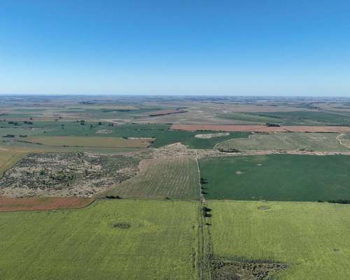 Monte, Buenos Aires - 1.082 Ha