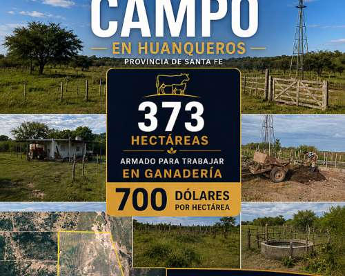 373 Has Ganaderas en Huanqueros.