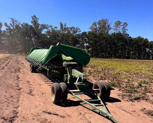 Maizero Ombú 16 a 52 año 2017