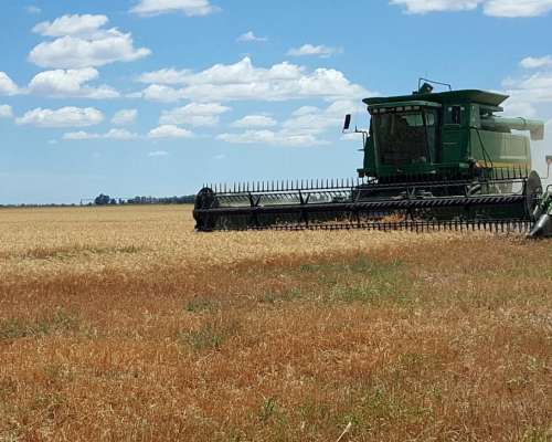 Sudoeste Pcia BS AS Campo Bajo Riego