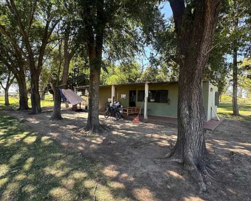 Campo Mixto de 250 Hectáreas