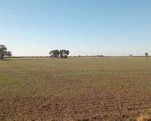 381 Ha en Venta Norte de Córdoba