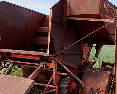 Moledora Ferruchi Directo de Campo