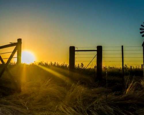 75 Has Ganaderas en Rafael Obligado (rojas Bs.as.)