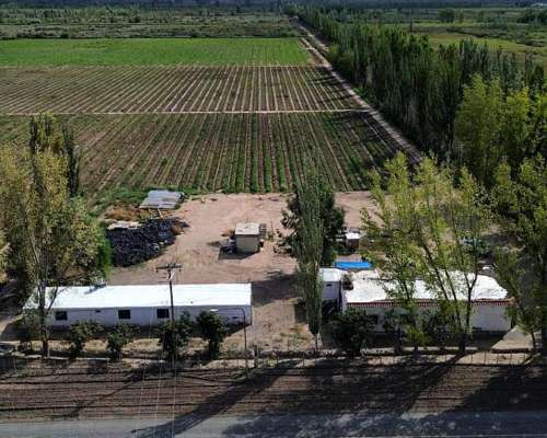 Finca con D° Riego, Pozo y Goteo. Excelente Ubicación