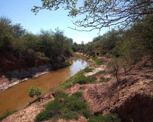 Dueño Vende 7.000has Ganaderas a 100km de las Lajitas, Salta