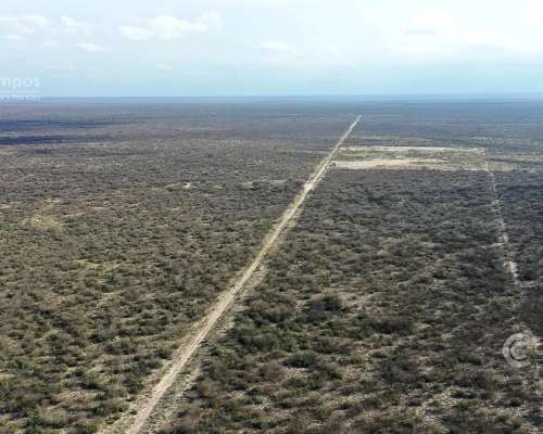Se Vende Campo Ganadero de 3500 Ha en Mendoza, Argentina