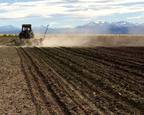 714 Hectáreas - Campo en Malargue Mendoza Argentina