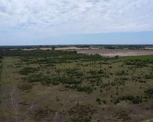 Venta Campo Ganadero Pilar Santa FE