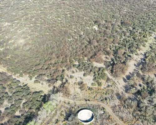 Se Vende Campo Ganadero de 3500 Ha en Mendoza, Argentina