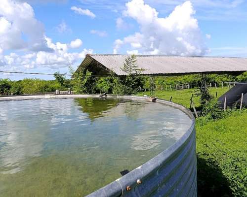 Alquiler de Campo en Mercedes Corrientes
