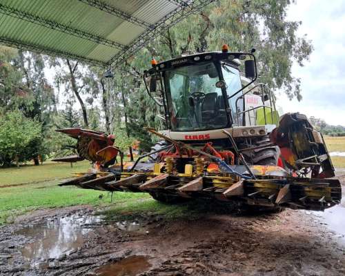 Picadora Claas Jaguar 980