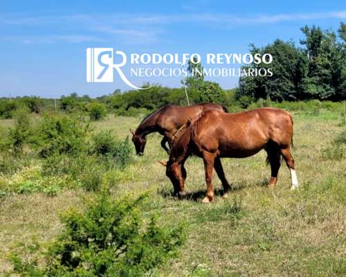 3 Hectáreas – Concepción del Uruguay