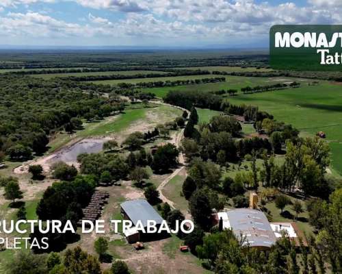 San Javier - 1250has