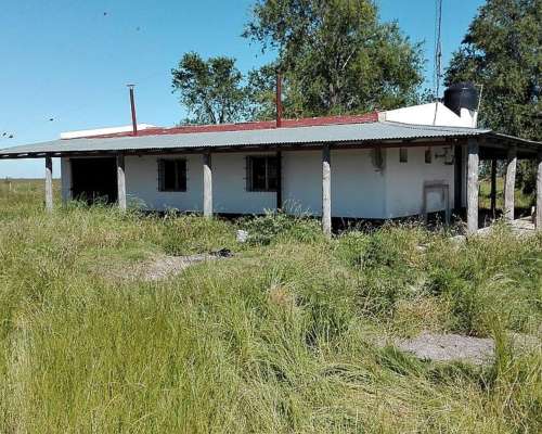 Vendo 1400 Has Ganaderas Olavarria