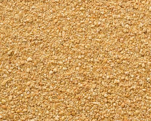 Soybeans Meals for Both Humans AND Animals Consumption