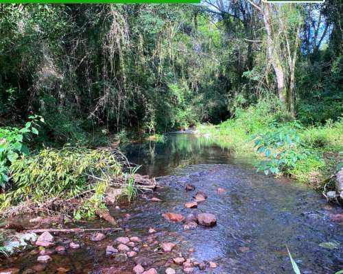 Chacra 95 Hectareas en Fracran Misiones