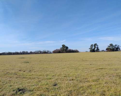 Alcorta Mixto 487 Has