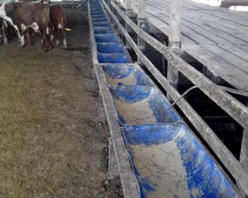 Curuzú Cuatiá, Corrientes - 2.502 Ha