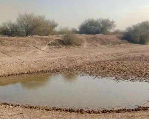Alquilo Campo para Cultivo o Crianza de Animales