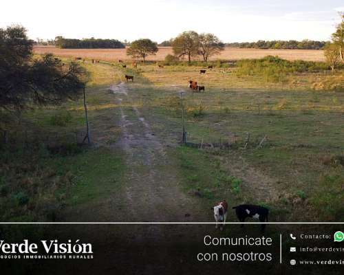 538 Has en Venta - Pcia del Chaco, Tres Isletas