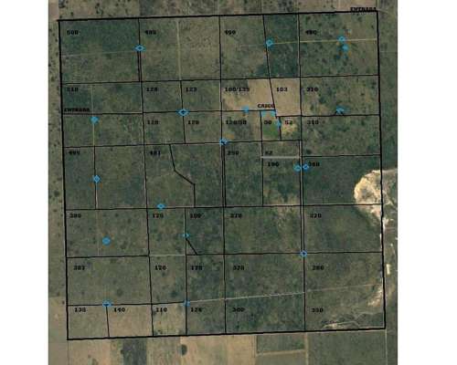10000 Has Ganaderas en Union Prov. de San Luis