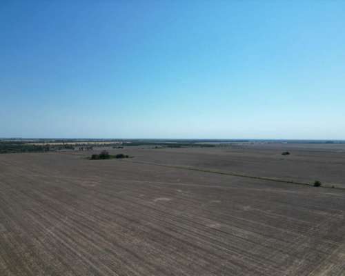 1000 Hectáreas Mixtas. Sobre Ruta.