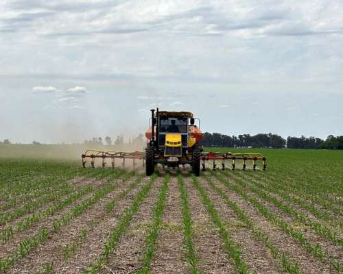 Servicio de Fertilización Solido