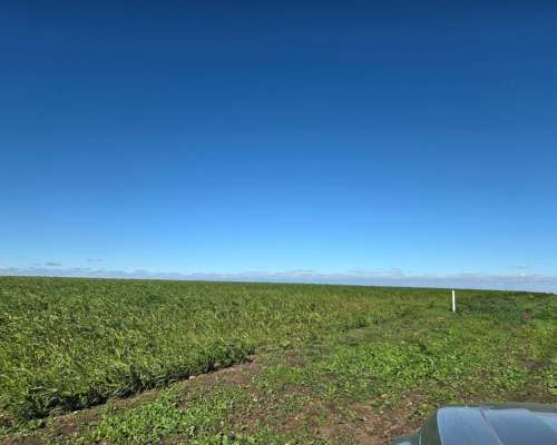 200 Ha Agricolas SC