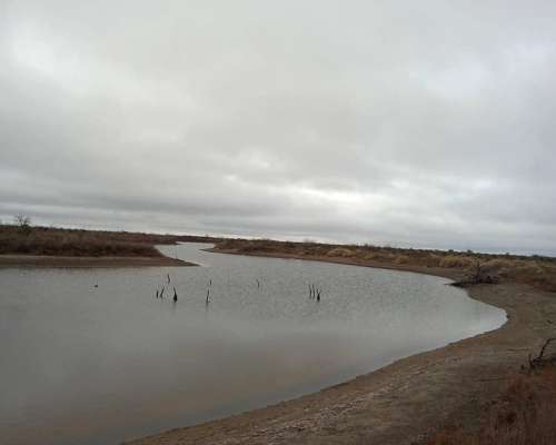 Campo Apto Coto de Caza