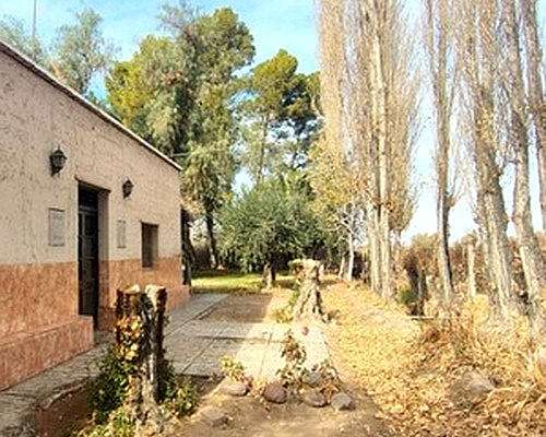 42 Ha Excepcional Finca Vitivinicola, Lavalle, Mendoza