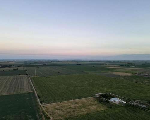 590 Ha - San Genaro (santa FE) - Ganadero