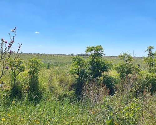 Se Venden 290 Ha a 5 km al SUR de la Feria Vieja de Capivar