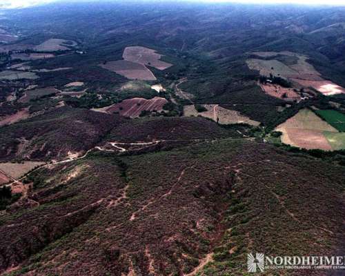 Singuil, Catamarca - 2.099 Ha