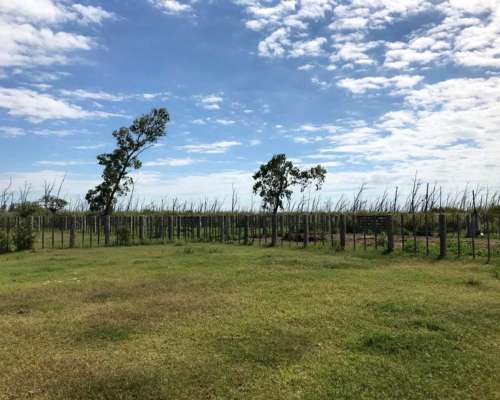 Balnearia 850 Has Ganaderas con Surgentes de Agua Dulce