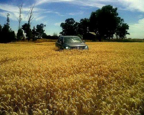 Se Venden 1000 Has Agricolas Exc. Sudoeste de Prov de BS AS