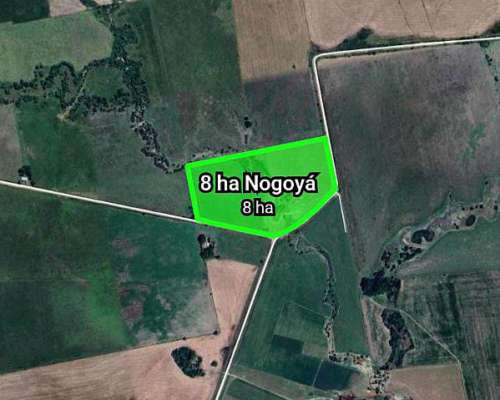 8 Ha Agrícolas Nogoyá