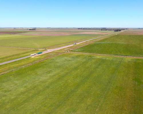 540 Has en Tornquist - BS. AS. - Agrícola - Venta