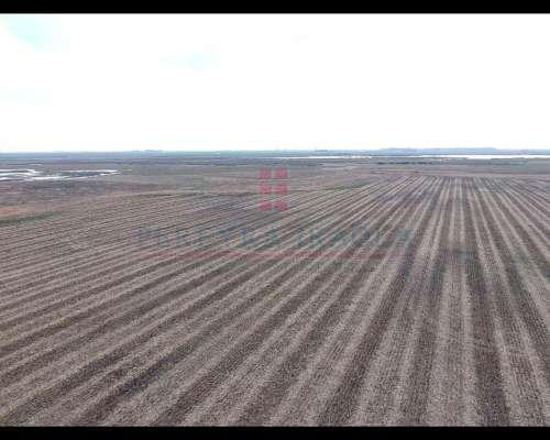 6902ha Campo Mixto en Venta en Lincoln, Pcia. de BS AS.