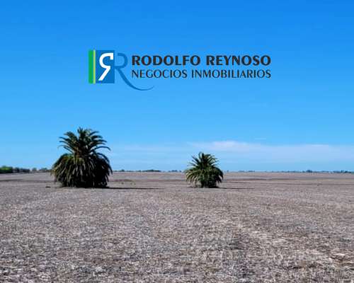 136 Ha en Dpto. Uruguay - Entre Ríos