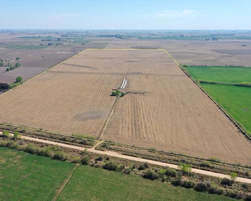183 Has. Campo Agrícola en Navarro