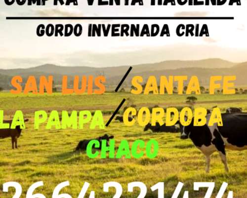Compro Hacienda Zona San Luis la Pampa Cordoba