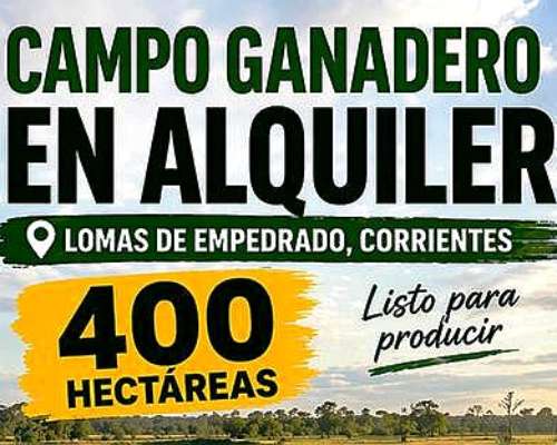Campo Disponible/arrendamiento por Hectárea o por Cabeza