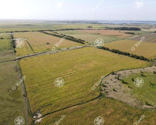 Campo en Venta 57 Has en Chascomús